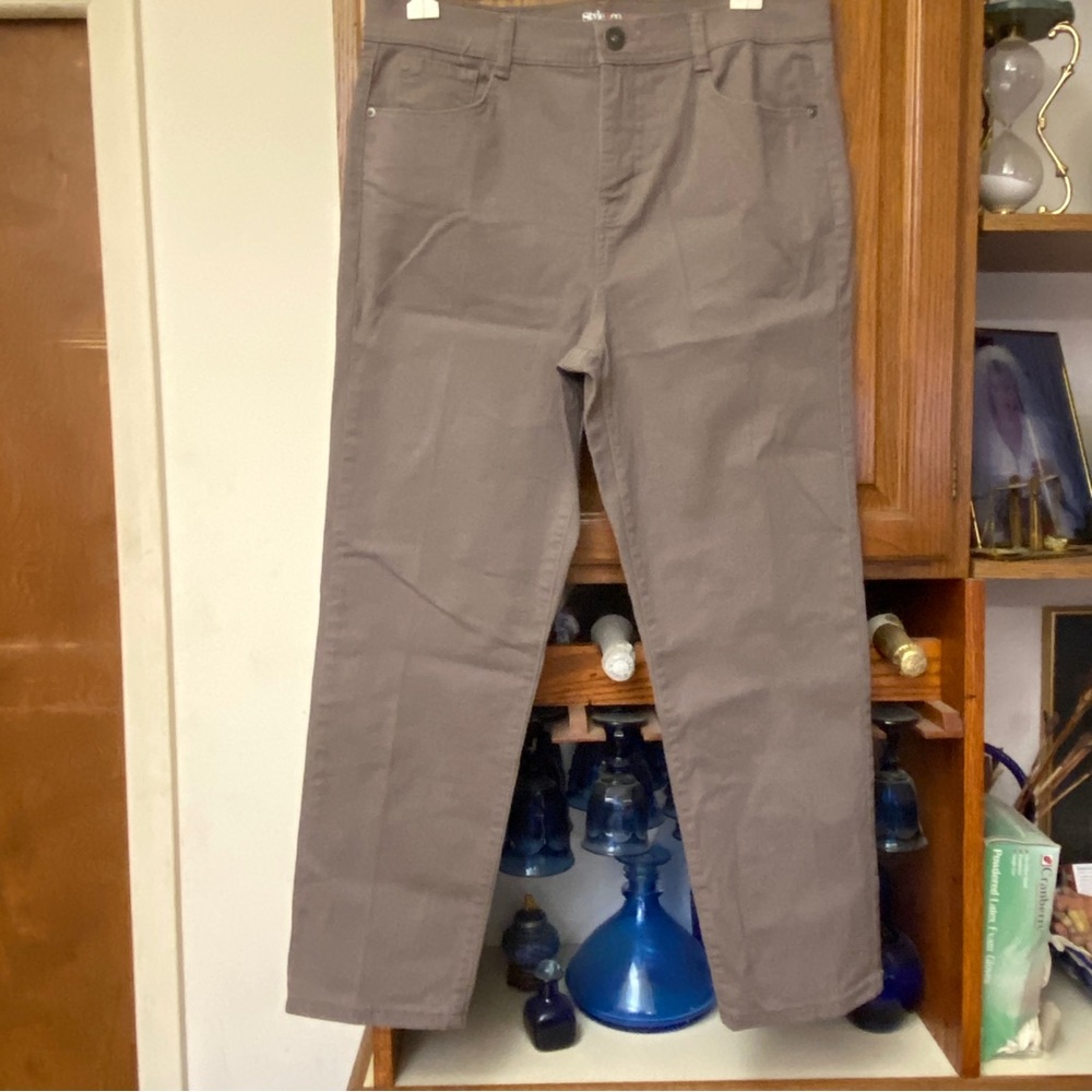 Style and Company denim